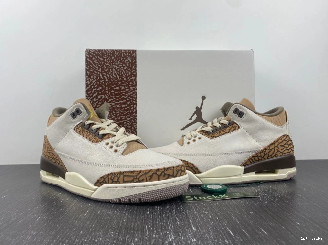 CT8532-102 Jordan Air Palomino 3 0816